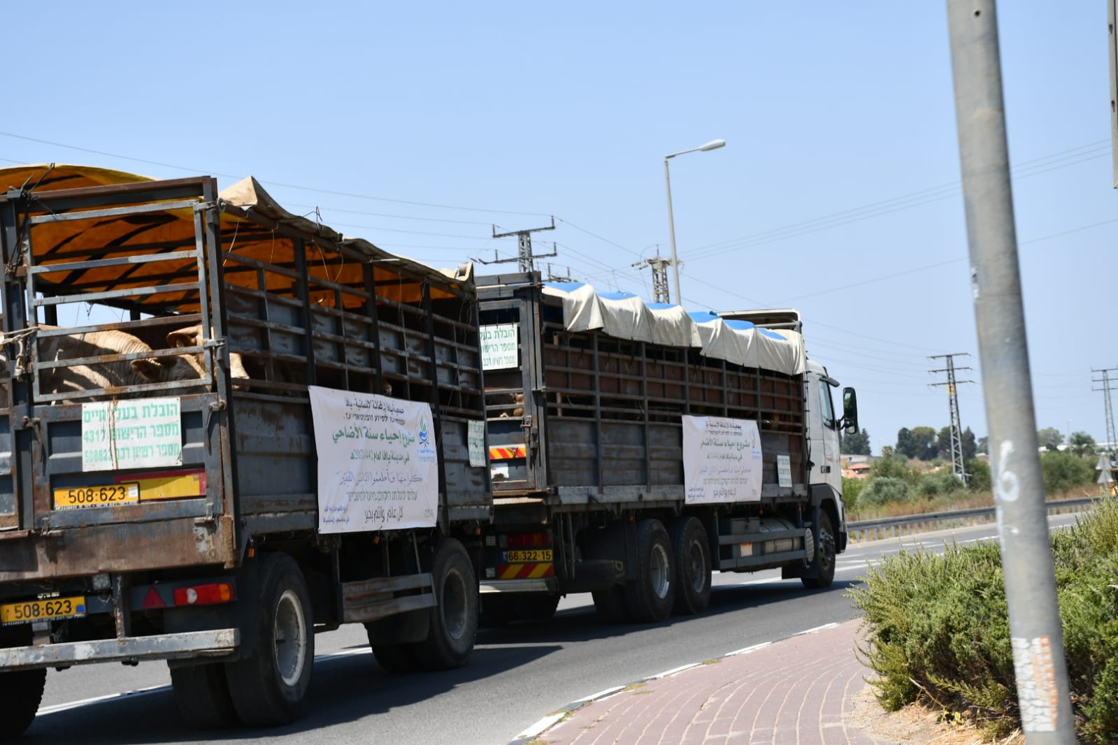 WhatsApp Image 2021-07-19 at 1.01.02 PM.jpeg